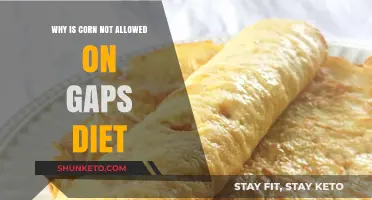 Corn-free GAPS: Avoiding Corn on the GAPS Diet