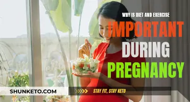 Healthy Pregnancy: Diet and Exercise Essentials