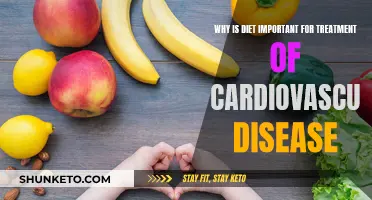 Diet's Impact on Cardiovascular Disease Treatment
