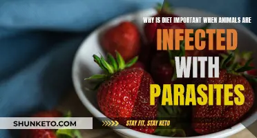 Parasite Diet: How Food Impacts Animal Health