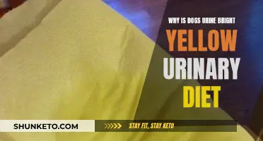 Dog Urine Brightness: Diet's Impact on Canine Urinary Health