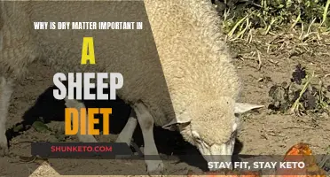 Sheep Diet: Understanding Dry Matter's Importance