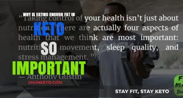 The Crucial Role of Fat in a Successful Keto Diet