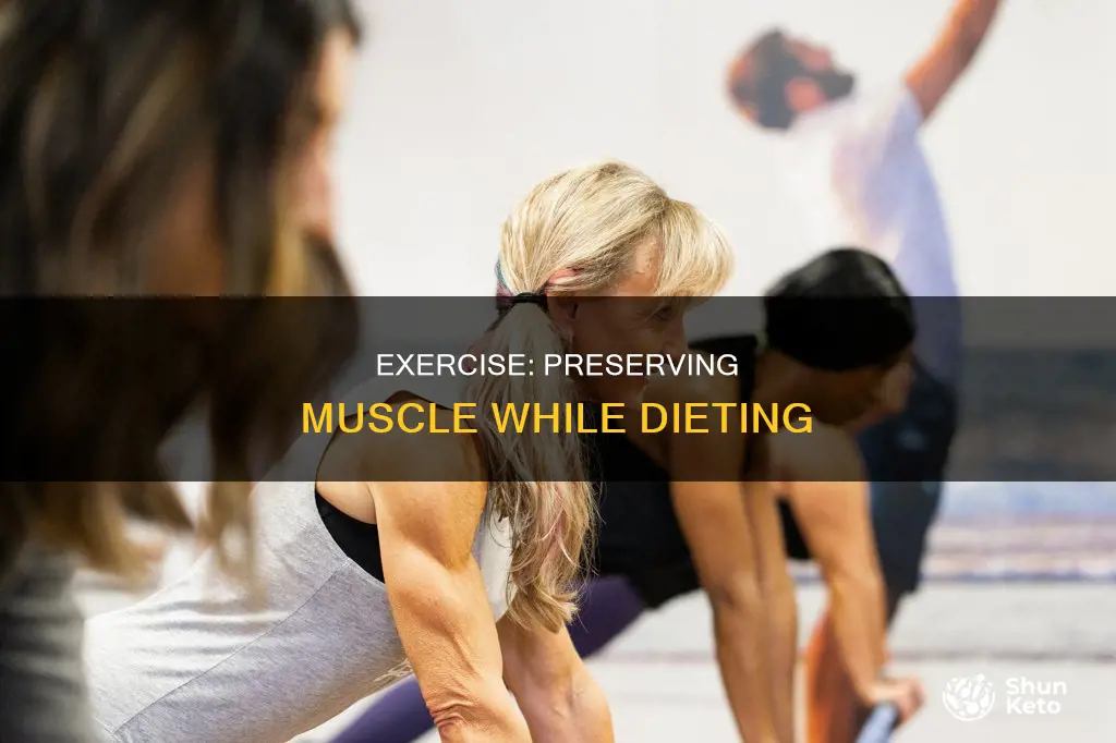why is exercise important for muscle loss dieting