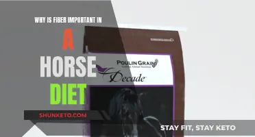 Fiber for Horses: The Key to a Healthy Diet