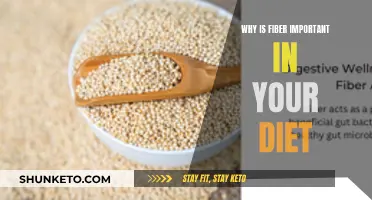 Fiber: The Superpower of a Healthy Diet
