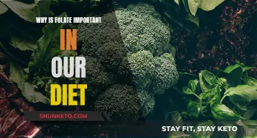 Folate: Essential for Health and Wellbeing
