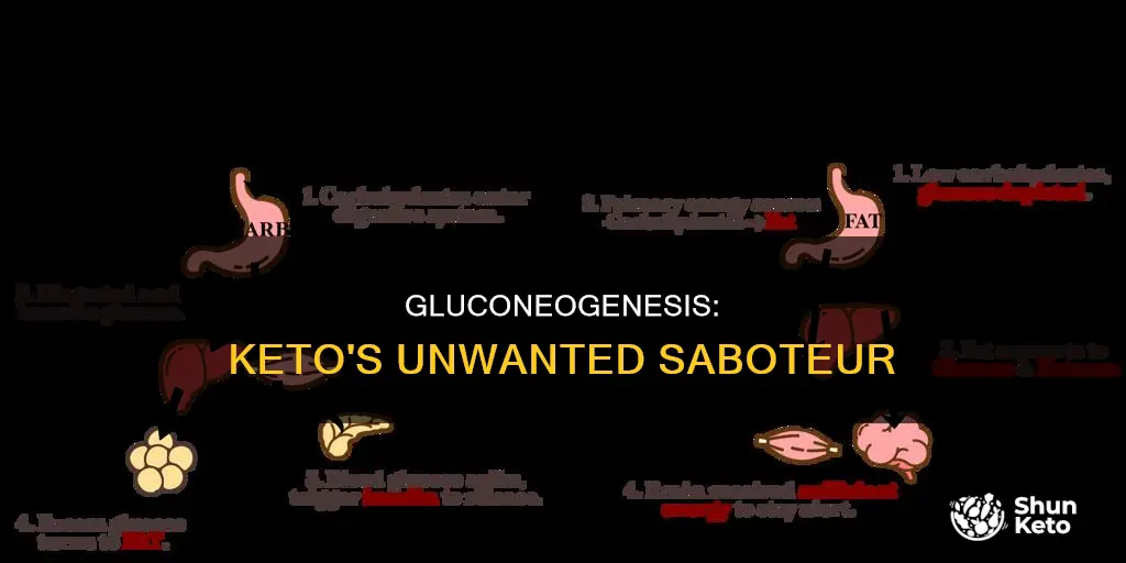 why is gluconeogenesis bad for keto