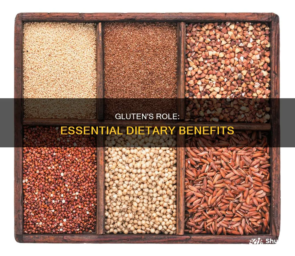 why is gluten important in your diet