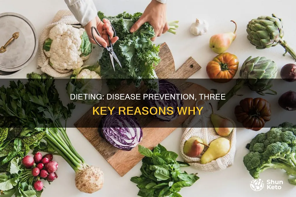 why is have a diet helps with diseases 3 reasons
