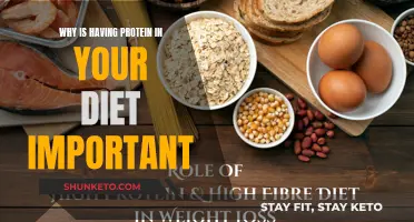 Protein Power: Why It's Essential in Your Diet