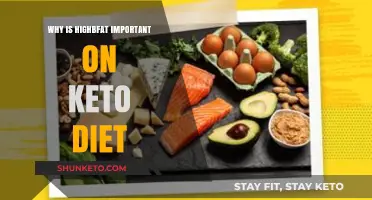 Why High-Fat Foods Are Essential for Keto Diet Success