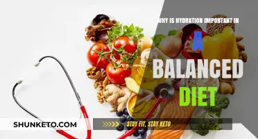 Hydration: A Key Pillar of Balanced Dieting