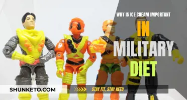 Ice Cream: A Tasty Military Diet Essential