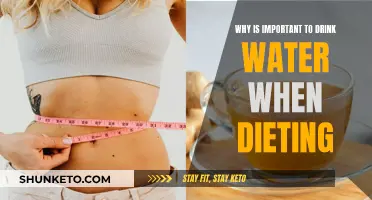 Hydration: A Key Factor in Dieting Success