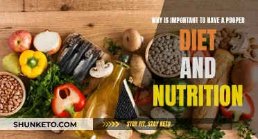 Eating Right: The Foundation of a Healthy Life