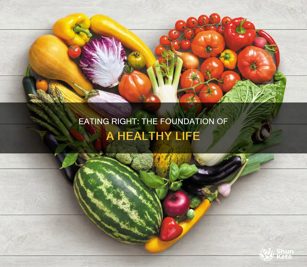 why is important to have a proper diet and nutrition