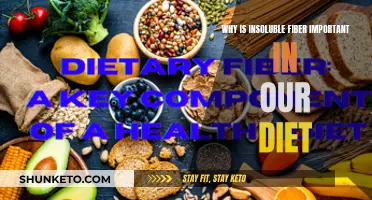 Insoluble Fiber: Essential for Healthy Digestion