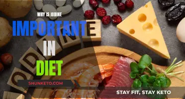 Iodine: Essential for Healthy Thyroid Function and Beyond
