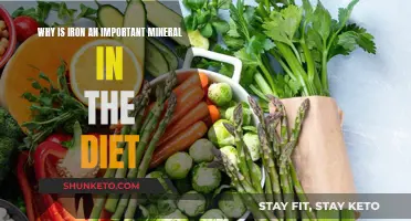 Iron: Essential Mineral for Overall Health and Energy