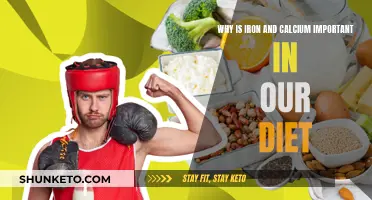 Iron and Calcium: Essential Dietary Minerals