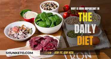 Iron's Vital Role in Daily Diet and Health