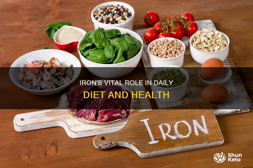 why is iron important in the daily diet
