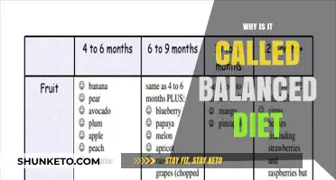 The Balanced Diet: Eating for Health and Nutrition