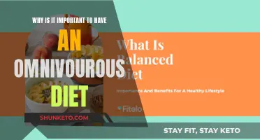 Omnivorous Diets: Balanced, Nutritious, and Healthy Eating
