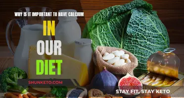Calcium-Rich Diet: Building Strong Bones and Teeth