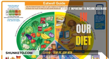 Cellulose: A Dietary Must-Have for Healthy Digestion