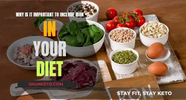 Iron-rich Diet: Essential for Energy and Health