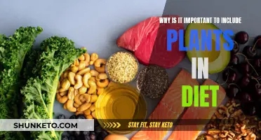 Plants in Diet: The Secret to a Healthy Life