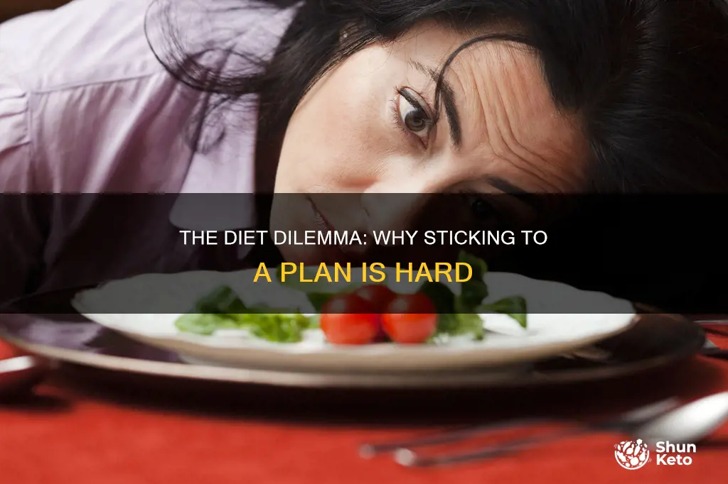 why is it so hard to follow a diet