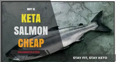 Why Keta Salmon is Surprisingly Affordable: Uncovering the Cost Factors