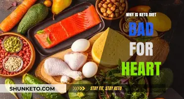 Keto Diet Risks: How Low-Carb Eating Harms Heart Health