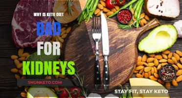 Keto Diet Risks: How Ketosis May Harm Kidney Health