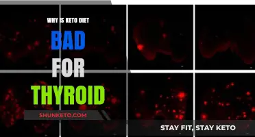 Keto Diet and Thyroid Health: Potential Risks Explained