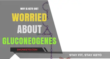 Keto and Gluconeogenesis: Understanding the Body's Sugar Creation Process