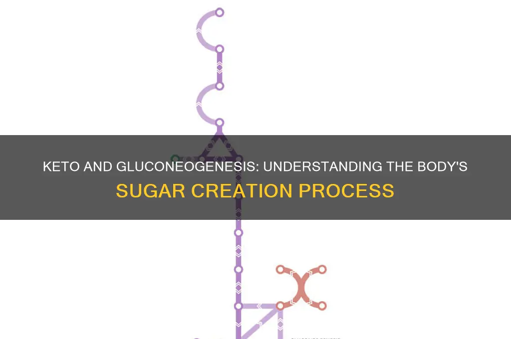why is keto diet worried about gluconeogenesis