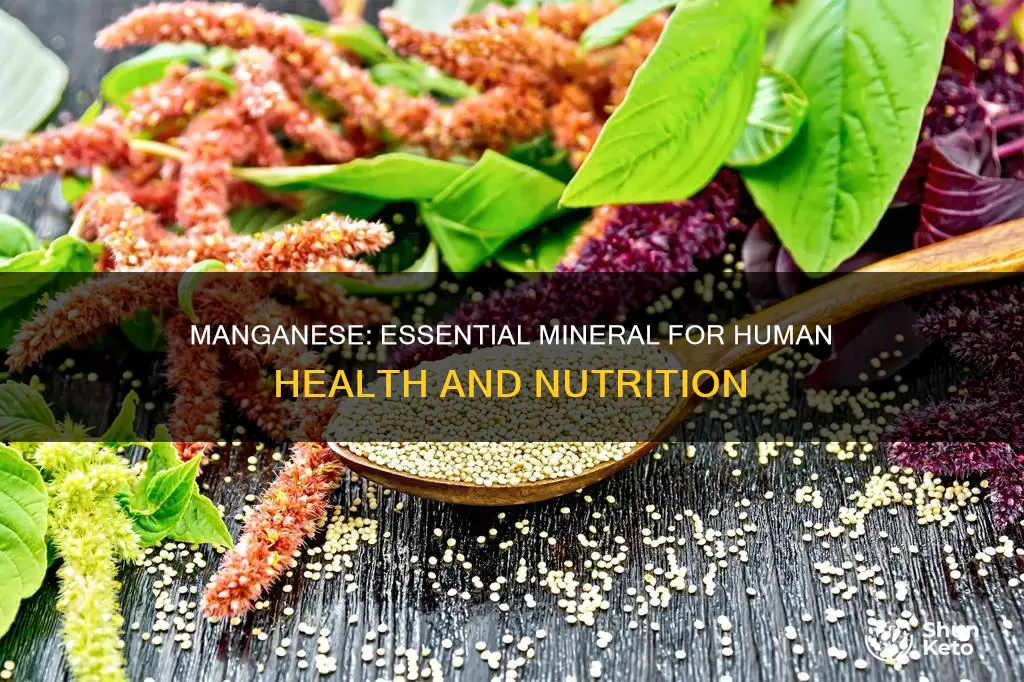 why is manganese important in our diet