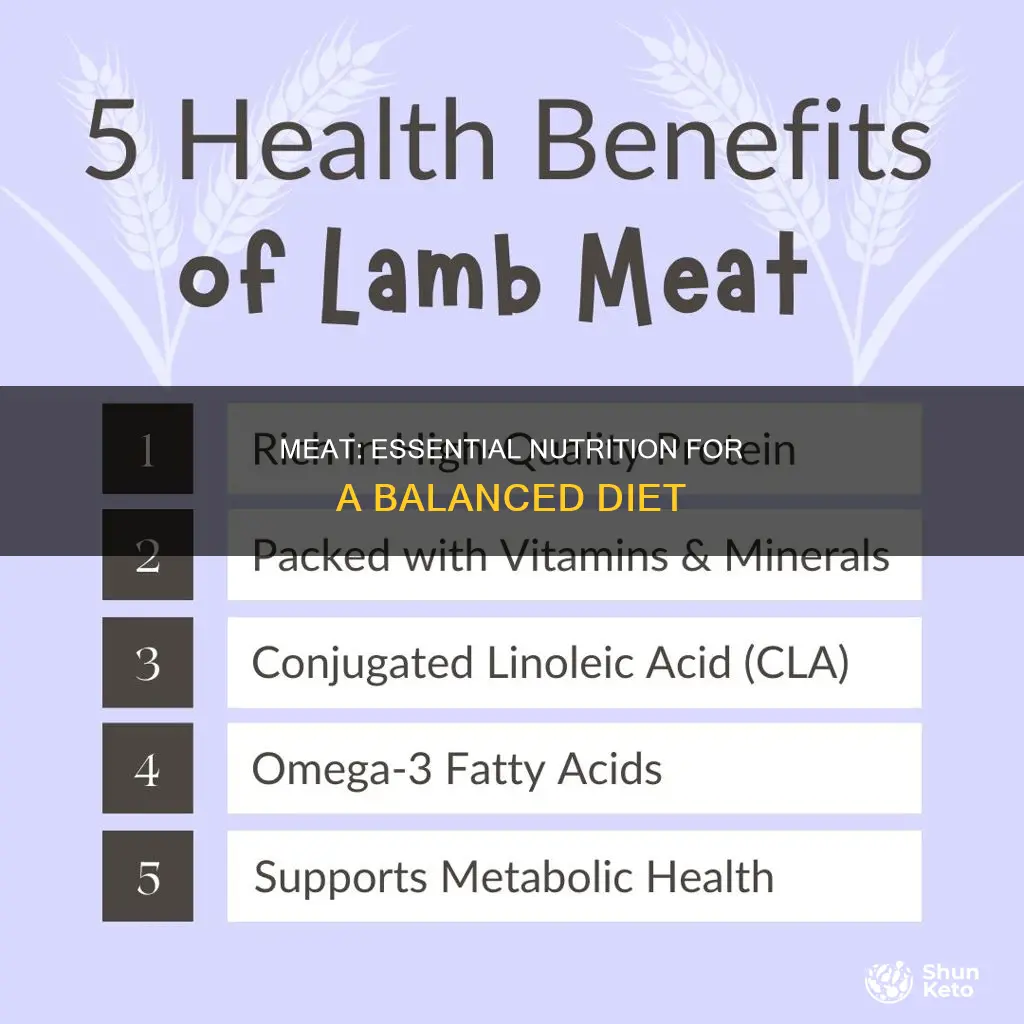 why is meat an important part of your diet