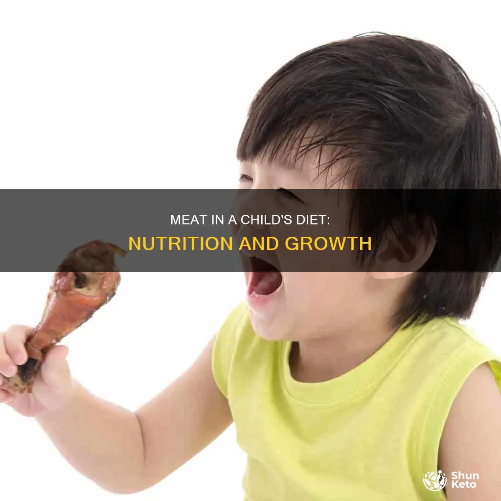 why is meat important in a child