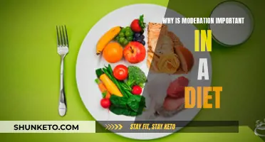 Moderation: The Key to a Sustainable Diet and Healthy Lifestyle