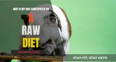 Raw Diet Constipation: Why Your Dog is Struggling