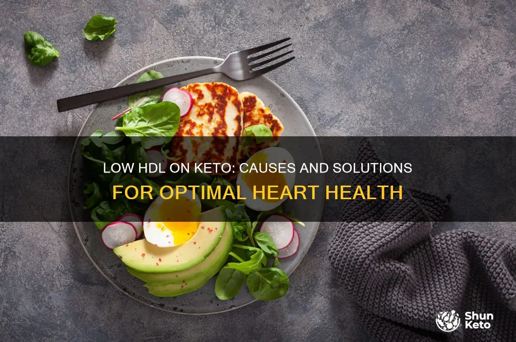why is my hdl low on a keto diet