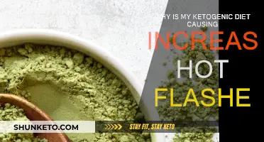 Ketogenic Diet: Hot Flashes and Their Causes