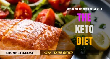 Keto Diet Stomach Upset: Causes and Solutions for Digestive Discomfort