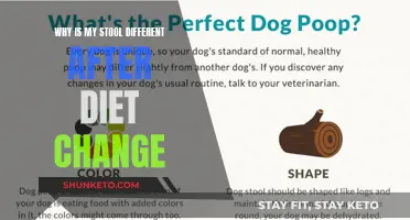 Diet Changes and Stool: What's the Connection?