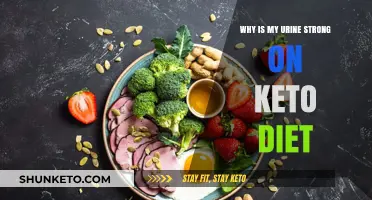 Strong Urine on Keto: Causes, Concerns, and Solutions Explained
